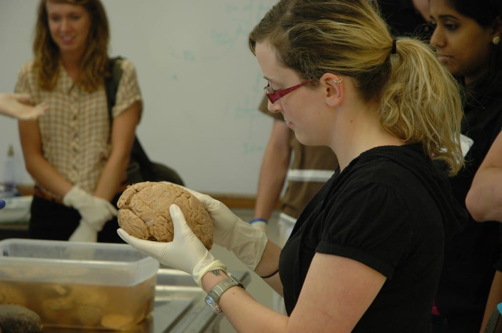 Discover DMU