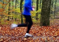 fall runner