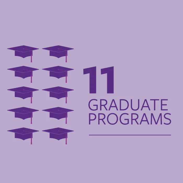 DMU offers 11 graduate programs.