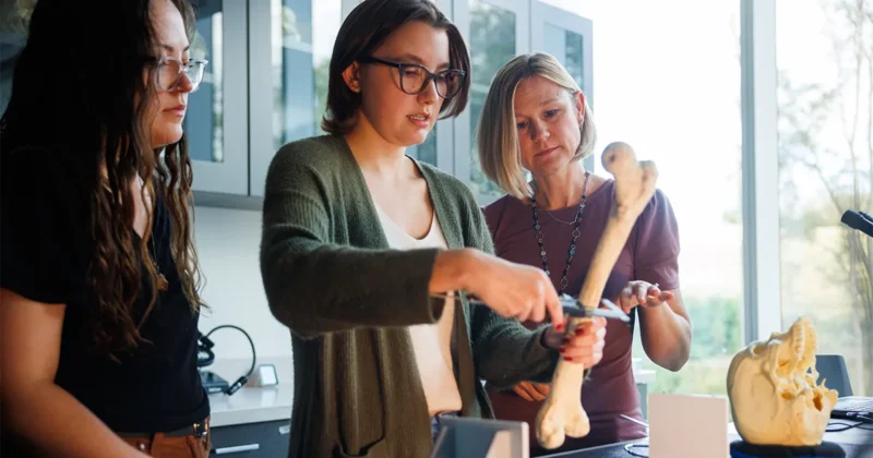 Three individuals in a lab setting examine a bone model together, with one person using calipers to measure a femur while a skull model sits on the table nearby.