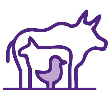 Icon showing the silhouettes of a cow, sheep and chick.