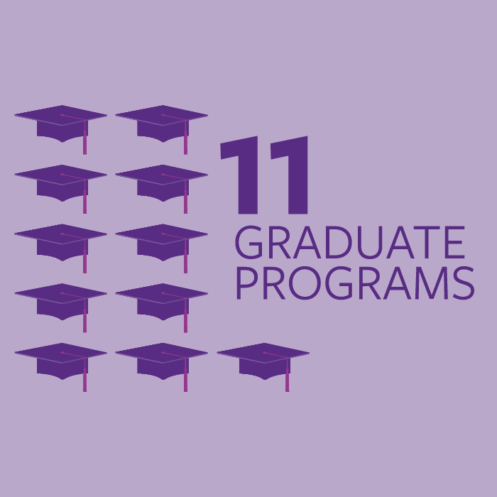 DMU offers 11 graduate programs.
